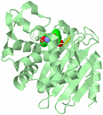 Image Biological Unit 2