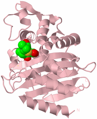 Image Biological Unit 3