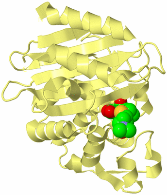 Image Biological Unit 4