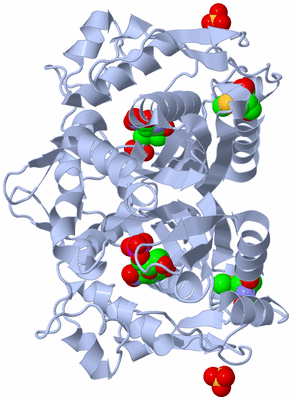 Image Biological Unit 1