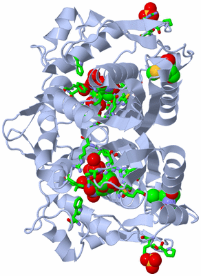 Image Biol. Unit 1 - sites