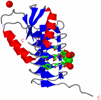 Image Asym. Unit - sites