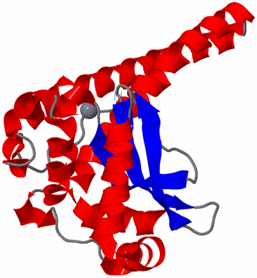 Image Asymmetric Unit