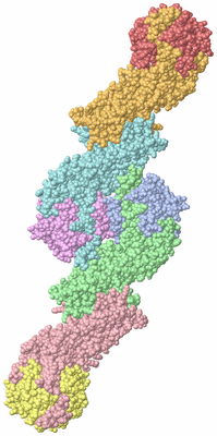 Image Biological Unit 1