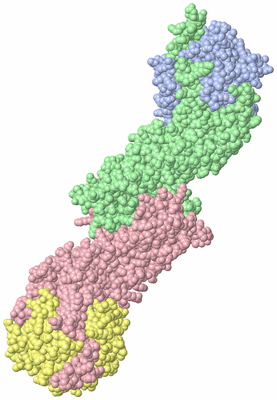 Image Biological Unit 2