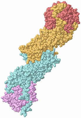 Image Biological Unit 3