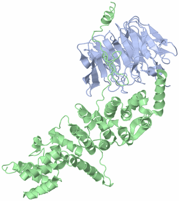 Image Biological Unit 4