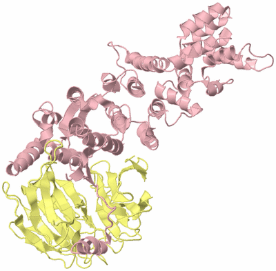 Image Biological Unit 5