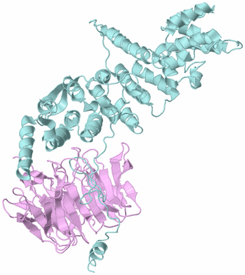 Image Biological Unit 6