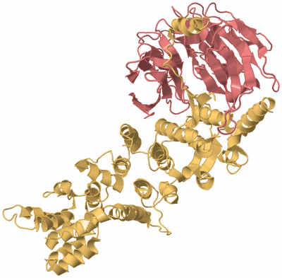 Image Biological Unit 7