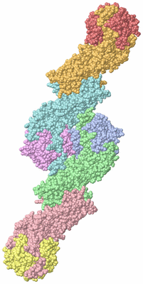 Image Biological Unit 1