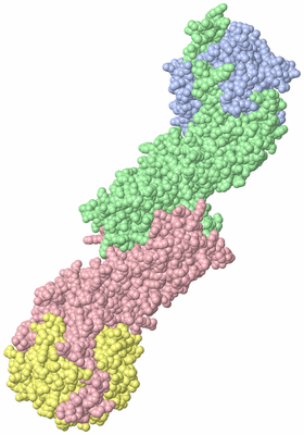 Image Biological Unit 2