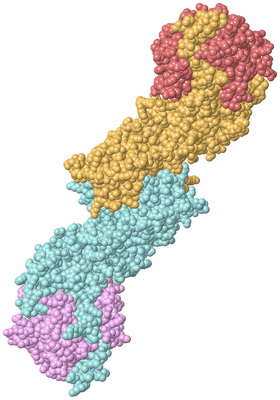 Image Biological Unit 3