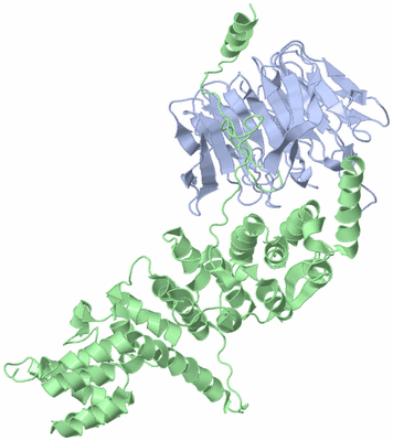 Image Biological Unit 4