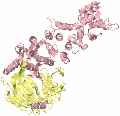 Image Biological Unit 5