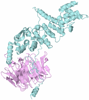 Image Biological Unit 6