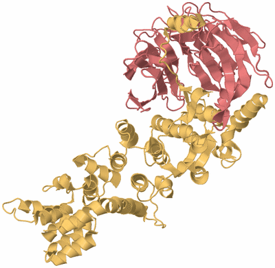 Image Biological Unit 7