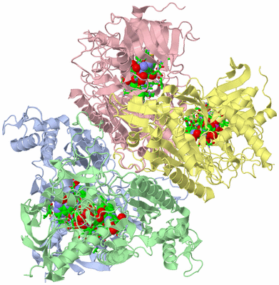 Image Biol. Unit 1 - sites