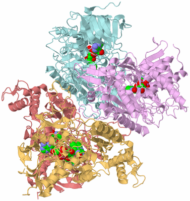 Image Biological Unit 2