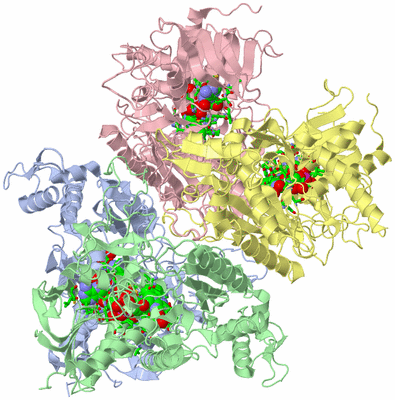 Image Biol. Unit 1 - sites