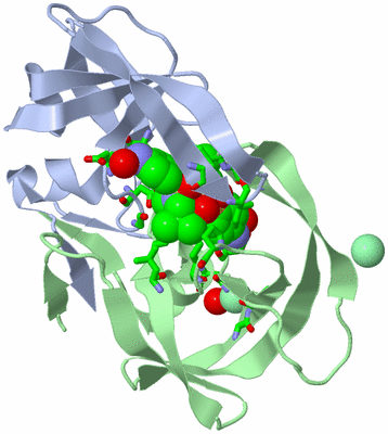 Image Asym./Biol. Unit - sites