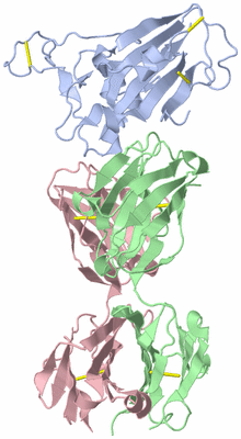 Image Biological Unit 1