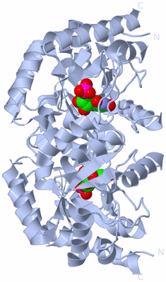 Image Biological Unit 1