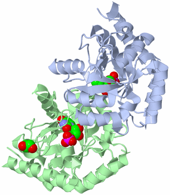 Image Asym./Biol. Unit