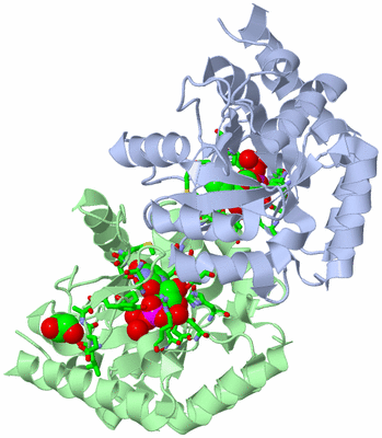 Image Asym./Biol. Unit - sites