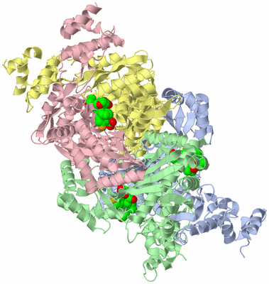 Image Asym./Biol. Unit