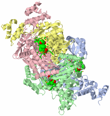 Image Asym./Biol. Unit - sites