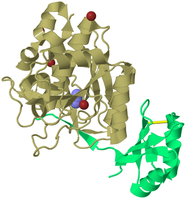 Image Biological Unit 1