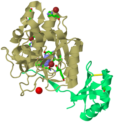 Image Biol. Unit 1 - sites