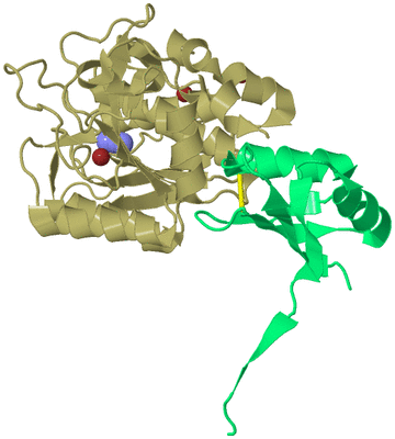 Image Biological Unit 2