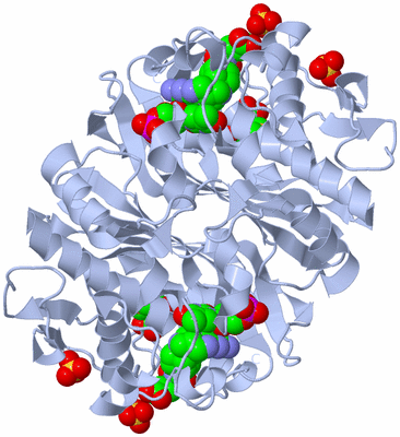 Image Biological Unit 1