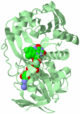 Image Biological Unit 2