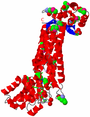 Image Asym. Unit - sites