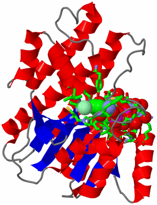 Image Asym./Biol. Unit - sites