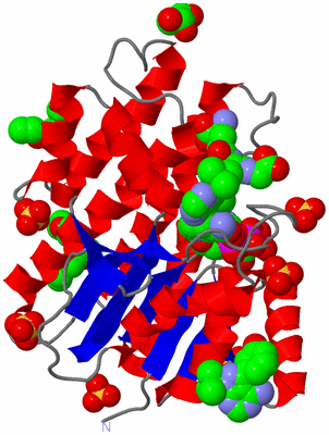 Image Asym./Biol. Unit