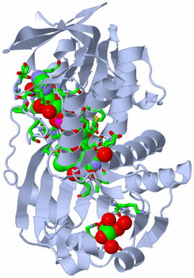 Image Biol. Unit 1 - sites