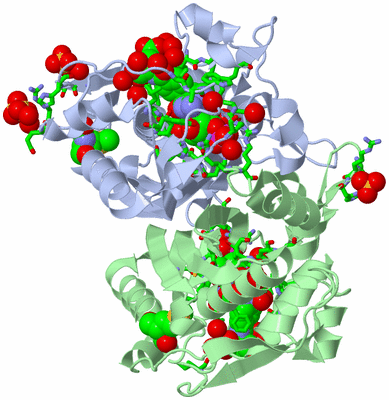 Image Asym./Biol. Unit - sites