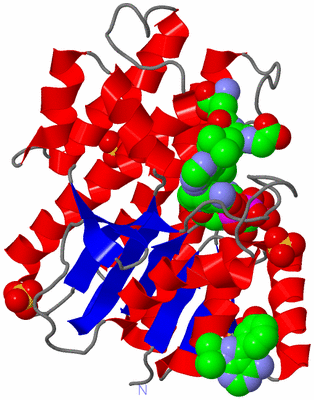 Image Asym./Biol. Unit