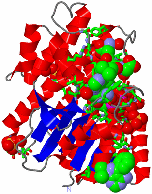 Image Asym./Biol. Unit - sites