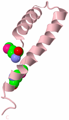 Image Biological Unit 3