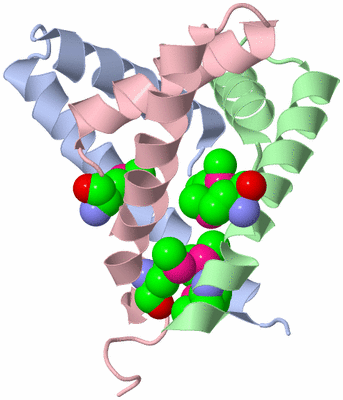 Image Biological Unit 4