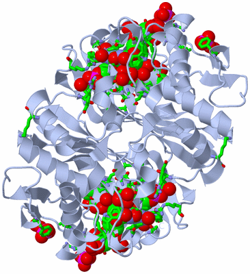 Image Biol. Unit 1 - sites