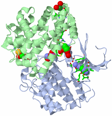 Image Biol. Unit 1 - sites