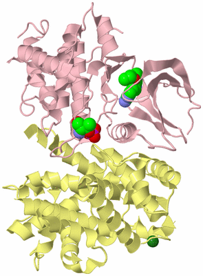 Image Biological Unit 2