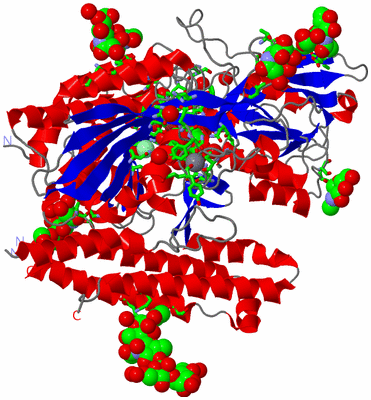 Image Asym. Unit - sites