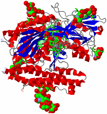 Image Asym. Unit - sites